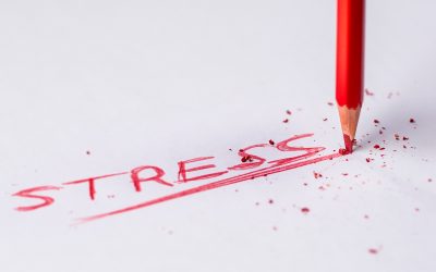 A cosa serve lo stress?